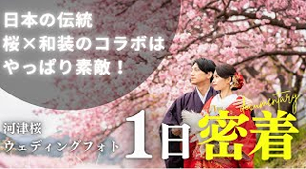 河津桜 1日密着 ウェディングムービー イメージ