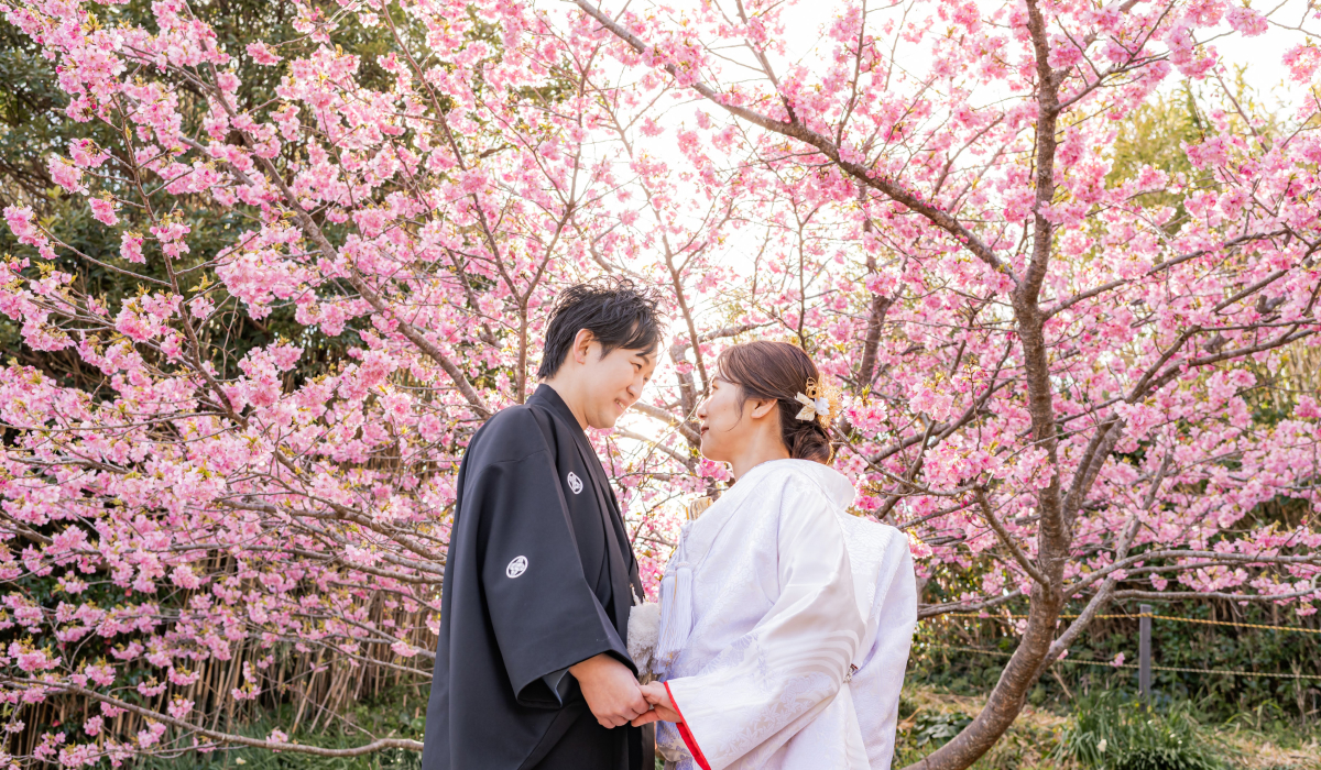 春の訪れを告げる満開の桜の下で特別な一枚を