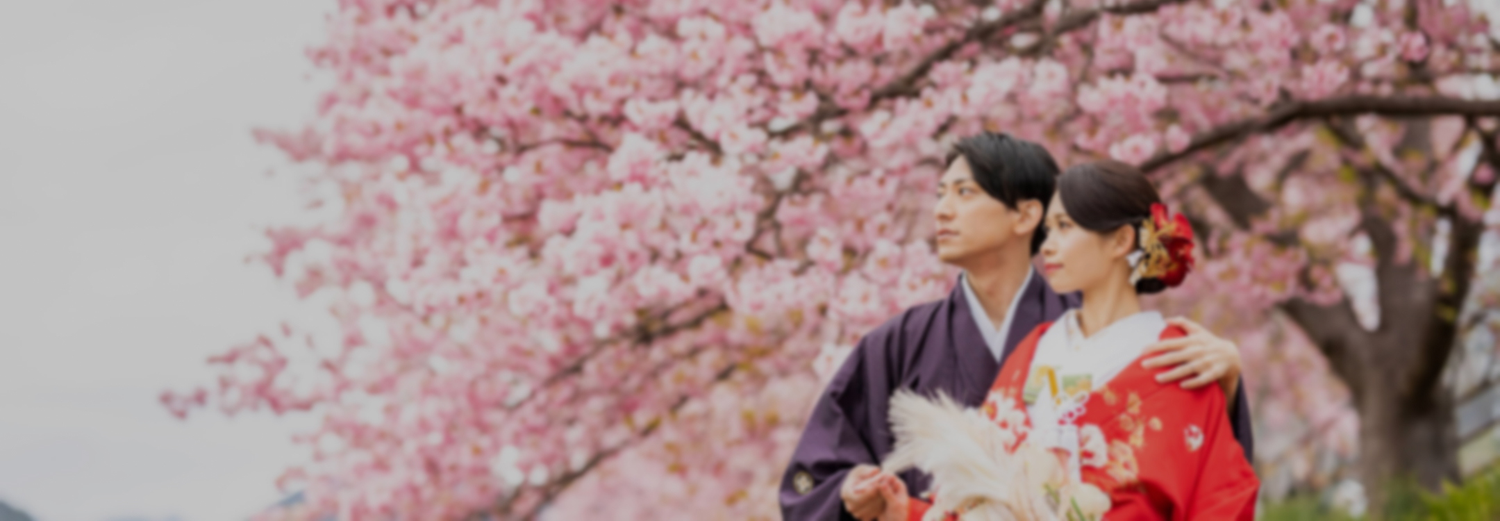 冬の河津桜プラン イメージ